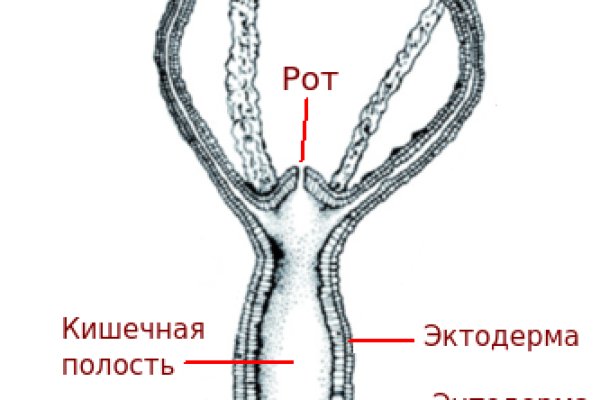 Регистрация на сайте кракен