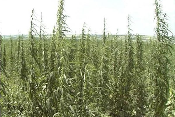 Кракен 16 at