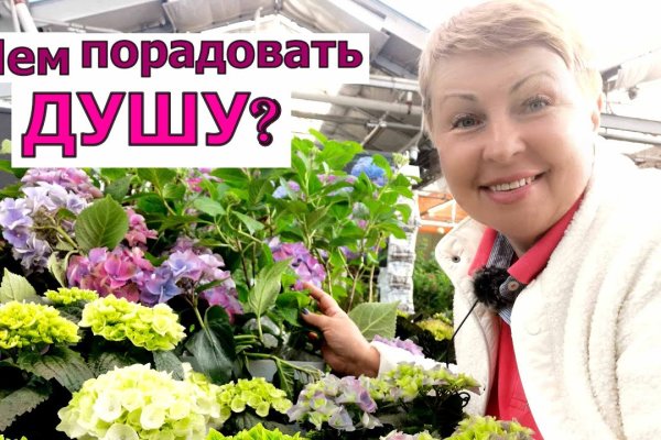Кракен ссылка store