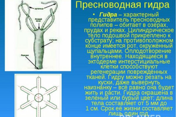 Kraken даркнет рынок ссылка