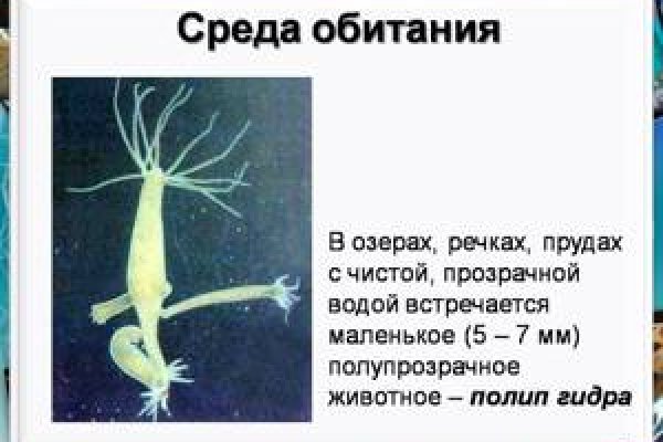 Сайт кракен гидра