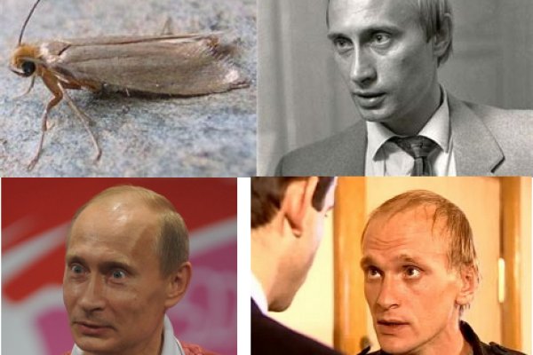 Kra35.cc Вход на сайт главная страница